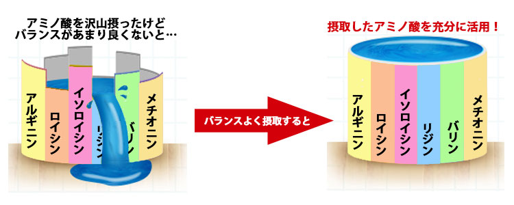 糖対策 肝臓 腎臓 筋力サポートに | ペット用 アミノピュアー 100g |